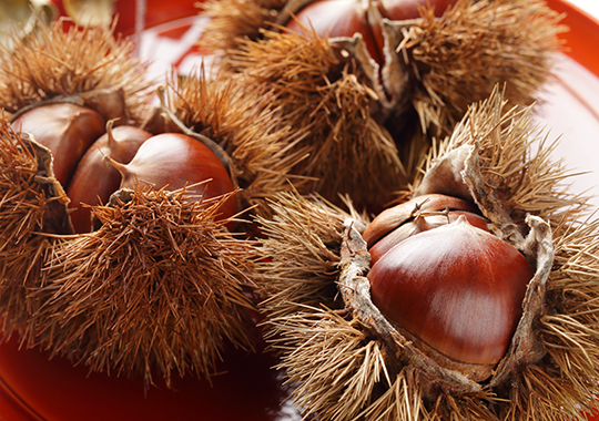 秋の銘菓　栗もなか