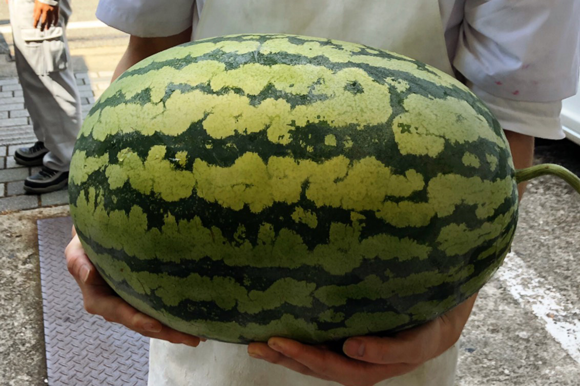 銘菓　すいか最中