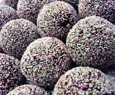 お買い求めいただける店舗＆お問合せ先